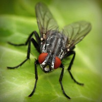 /album/presfalhumbjump/photolia-a01-jpg/