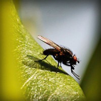 /album/presfalhumbjump/photolia-a04-jpg/